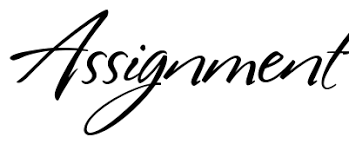 留學(xué)assignment