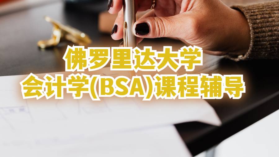 佛羅里達大學會計學(BSA)課程輔導