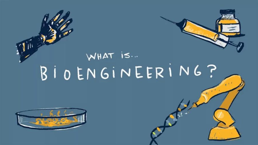 生物工程作業(yè)怎么寫