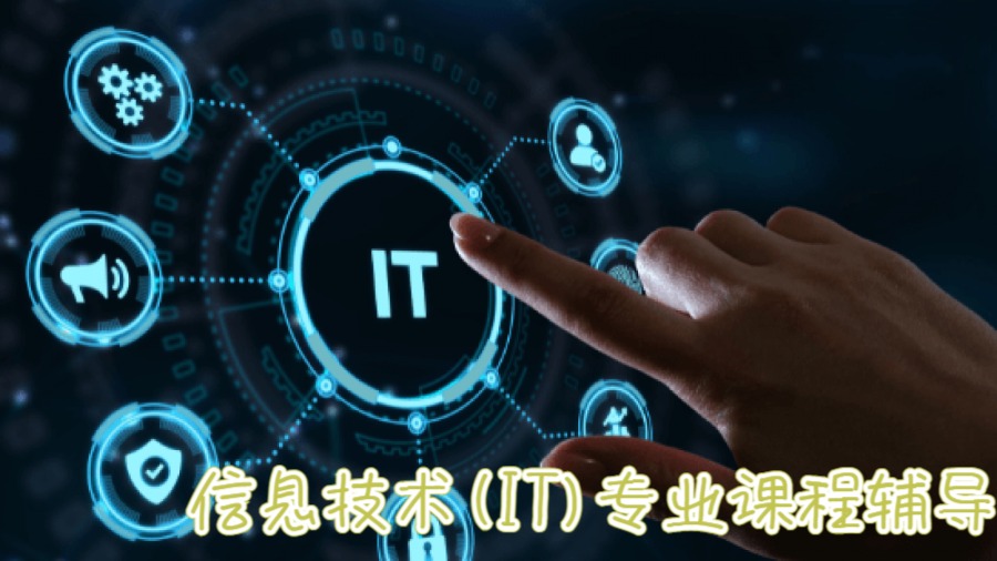 信息技術(shù)專業(yè)課程輔導(dǎo)