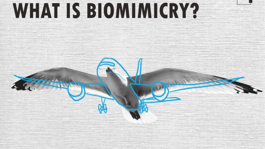 Biomimicry