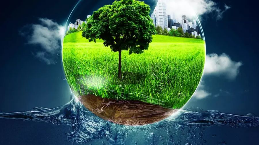 environmental science課程學(xué)習(xí)