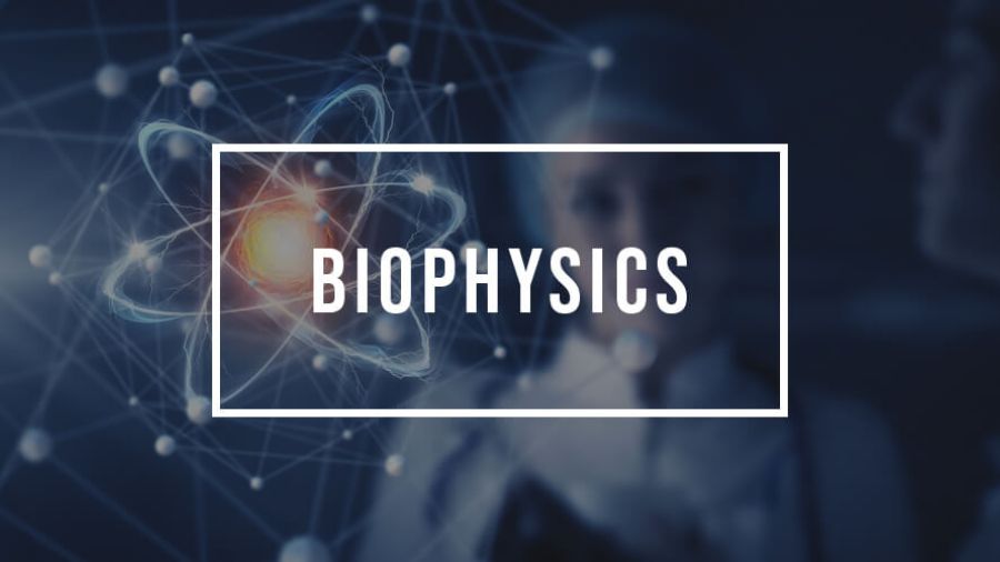 碩士課程輔導(dǎo)