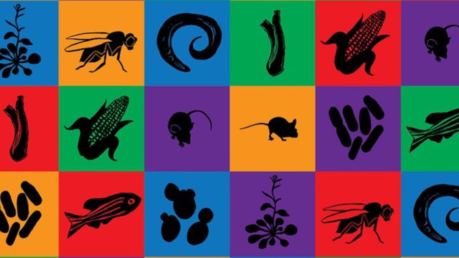 碩士課程輔導(dǎo)