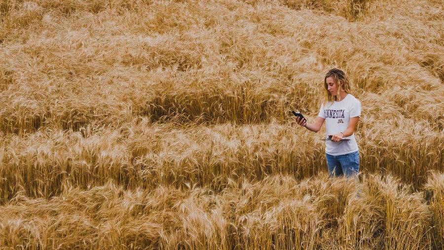 本科課程輔導(dǎo)