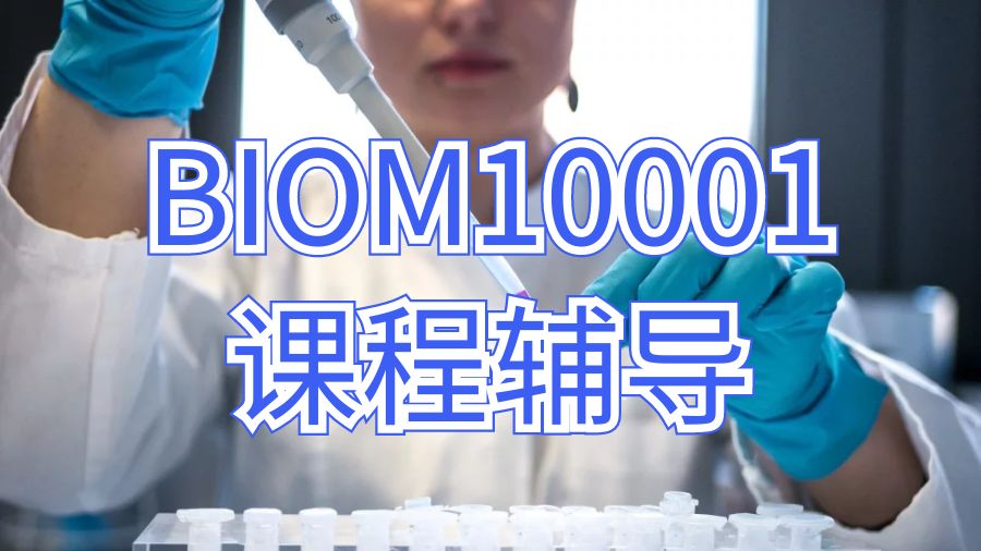 澳洲留學生課程輔導