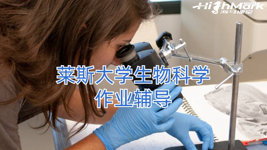 留學(xué)生作業(yè)輔導(dǎo)