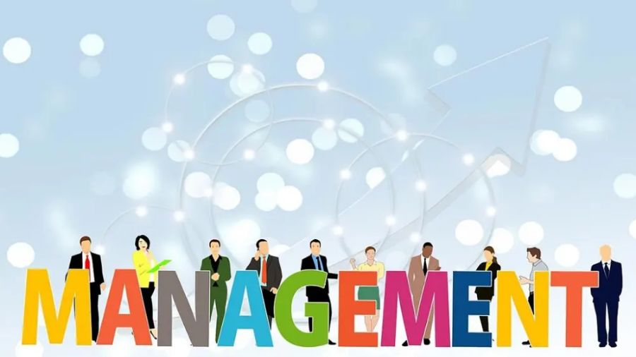 學(xué)術(shù)論文怎么寫