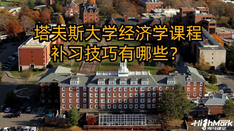 塔夫斯大學經(jīng)濟學課程補習技巧有哪些？