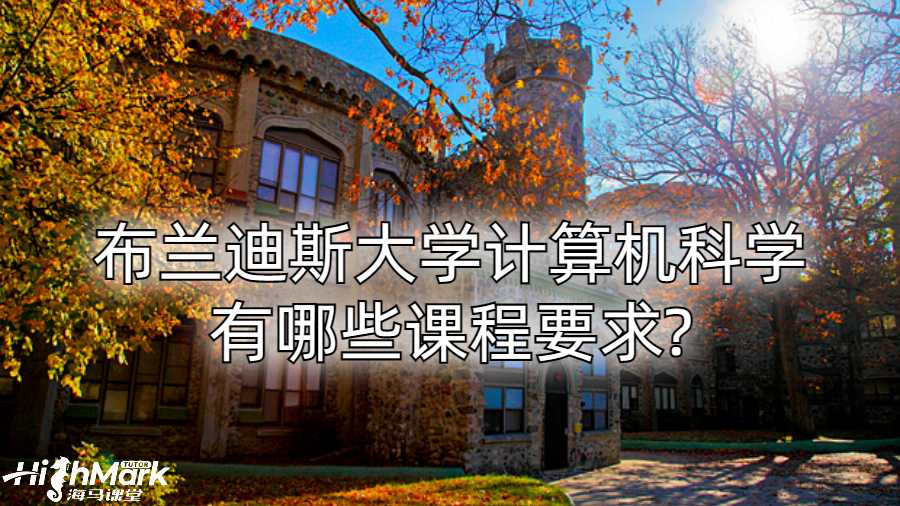 布蘭迪斯大學(xué)計(jì)算機(jī)科學(xué)有哪些課程要求?