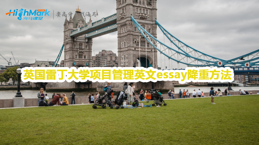 英國雷丁大學項目管理英文essay降重方法