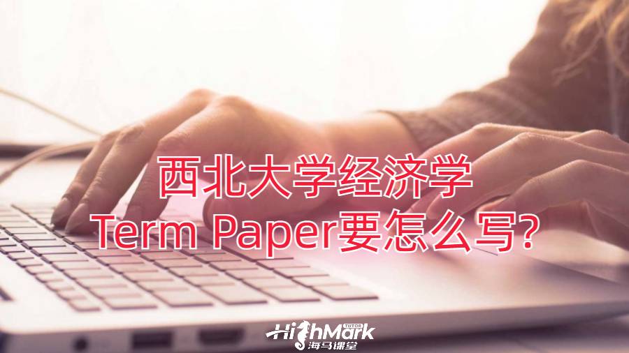 西北大學經(jīng)濟學Term Paper要怎么寫?