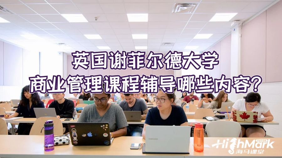 英國謝菲爾德大學(xué)商業(yè)管理課程輔導(dǎo)哪些內(nèi)容?