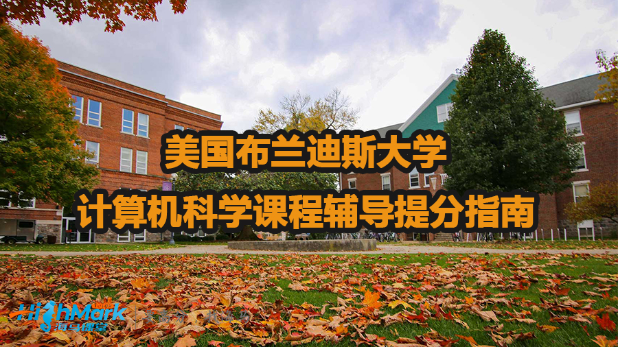 美國布蘭迪斯大學計算機科學課程輔導提分指南
