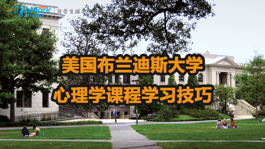 美國布蘭迪斯大學心理學課程學習技巧