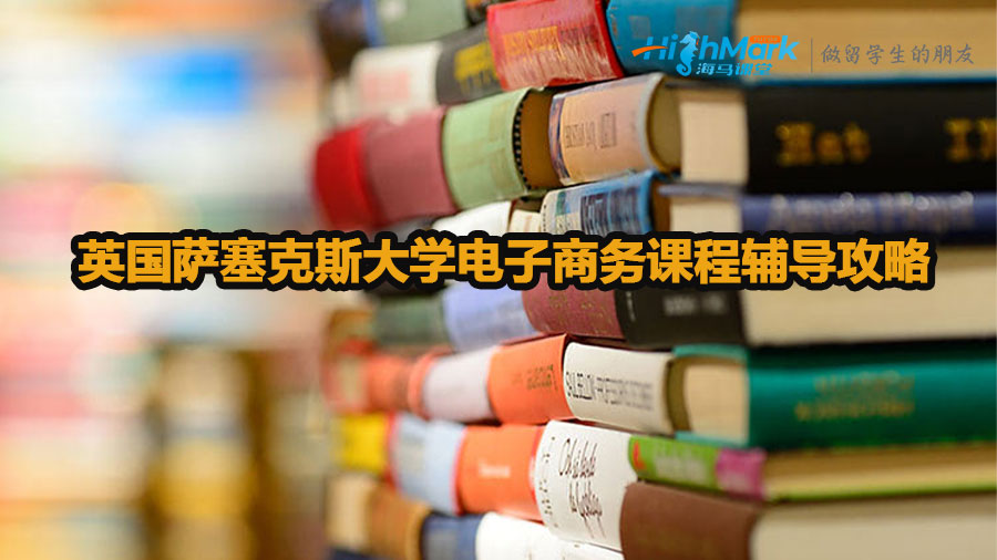 英國薩塞克斯大學電子商務(wù)課程輔導攻略