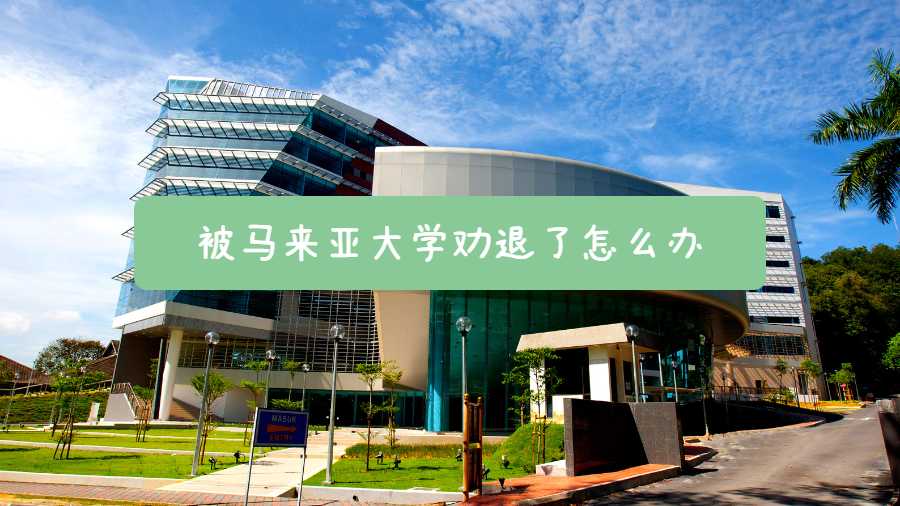 被馬來亞大學勸退了怎么辦