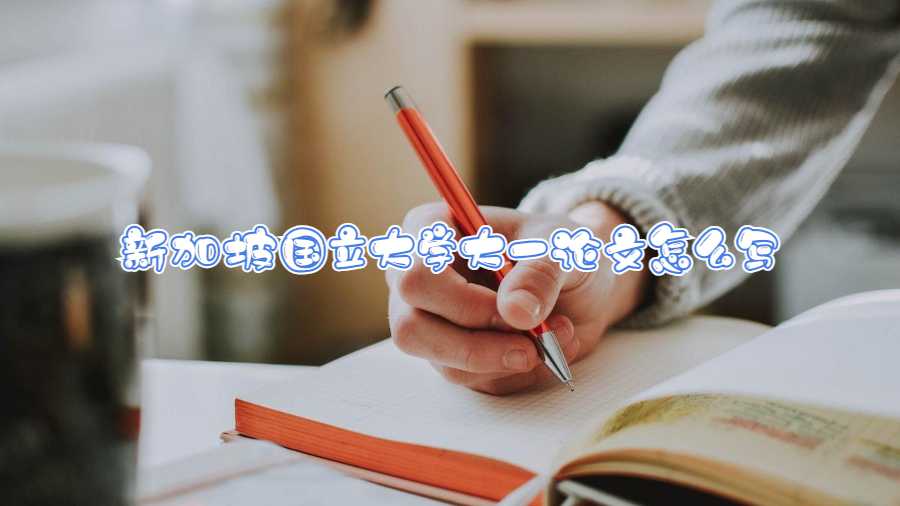 新加坡國立大學大一論文怎么寫