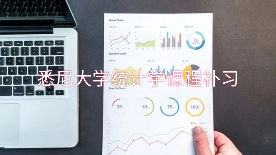 悉尼大學(xué)統(tǒng)計(jì)學(xué)課程補(bǔ)習(xí)