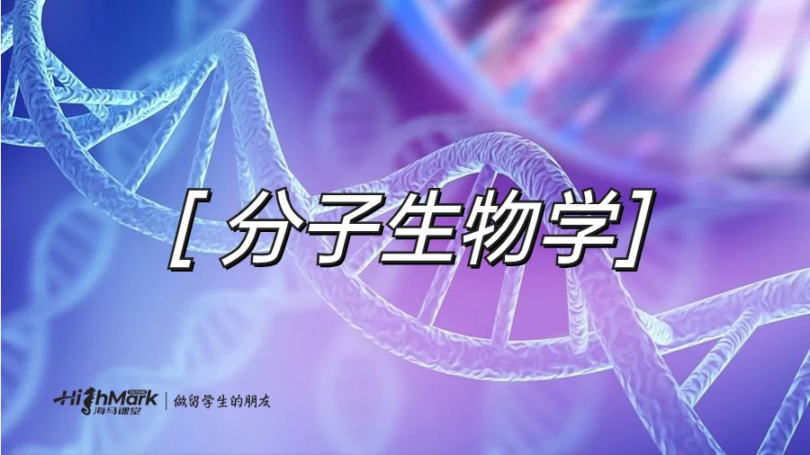 分子生物學(xué)