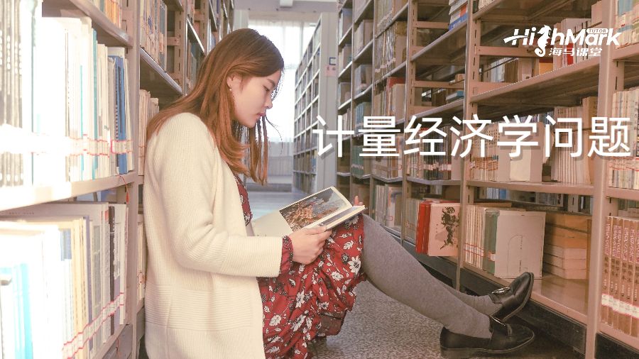 計量經(jīng)濟學問題