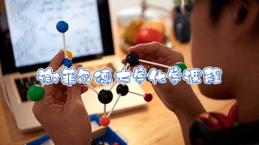 謝菲爾德大學化學課程都學什么