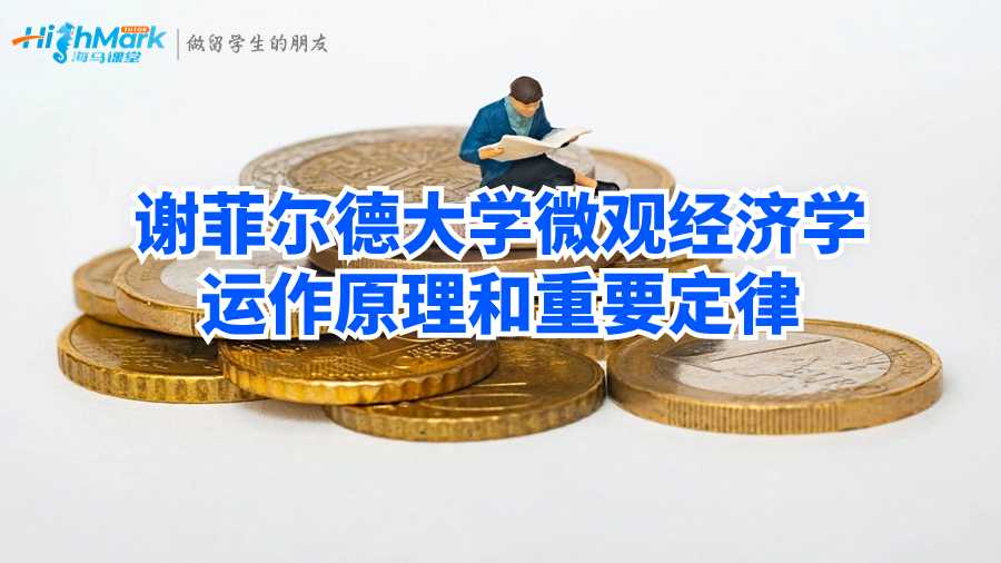 微觀經(jīng)濟(jì)學(xué)