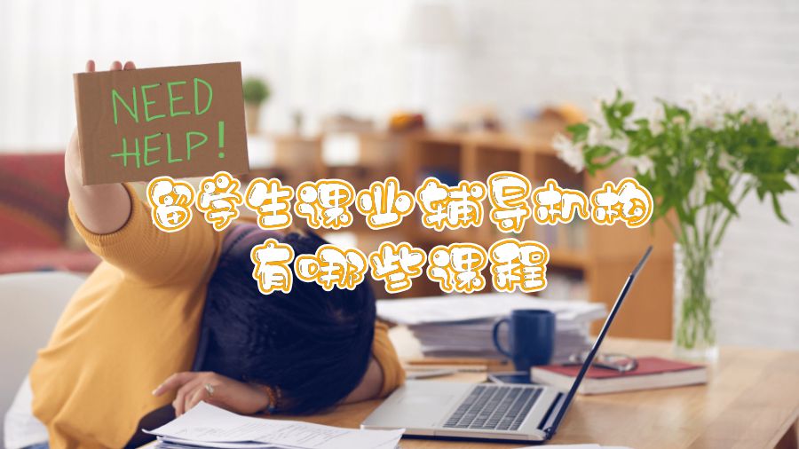 留學(xué)生課業(yè)輔導(dǎo)機(jī)構(gòu)有哪些課程