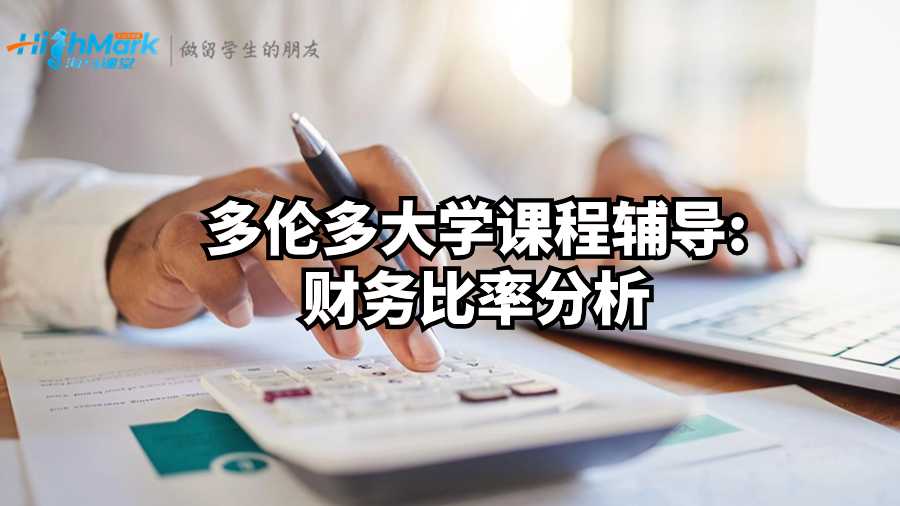 多倫多大學(xué)課程輔導(dǎo);財(cái)務(wù)比率分析