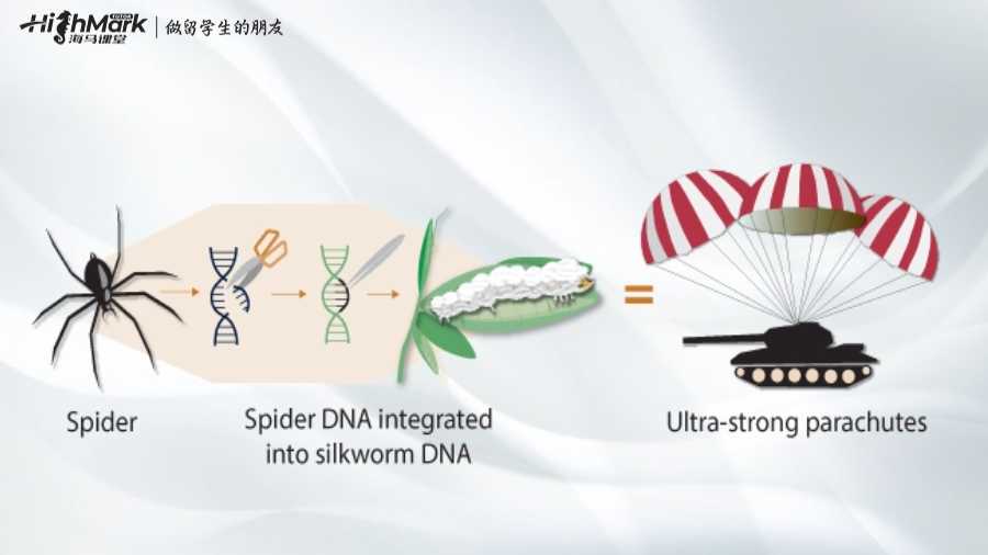 美國(guó)合成生物學(xué)