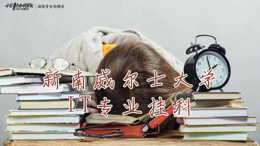 新南威爾士大學(xué)IT專業(yè)掛科