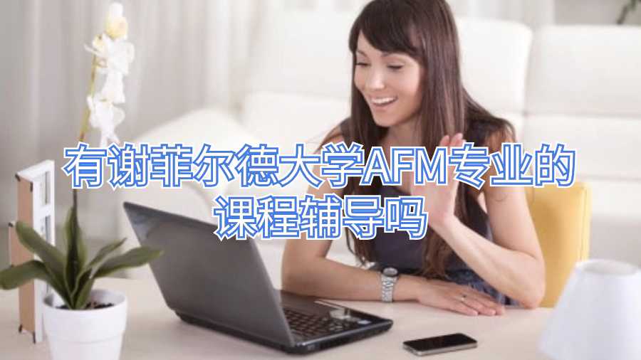 有謝菲爾德大學AFM專業(yè)的課程輔導嗎
