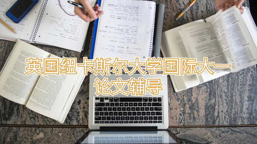 英國紐卡斯?fàn)柎髮W(xué)國際大一論文輔導(dǎo)