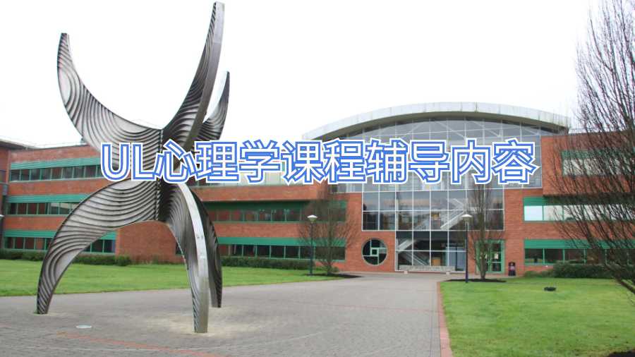 愛(ài)爾蘭心理學(xué)課程輔導(dǎo)