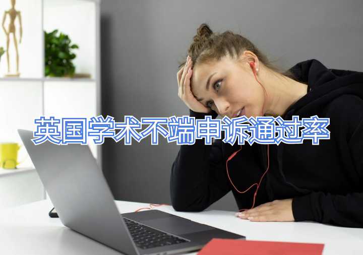 英國學(xué)術(shù)不端申訴通過率