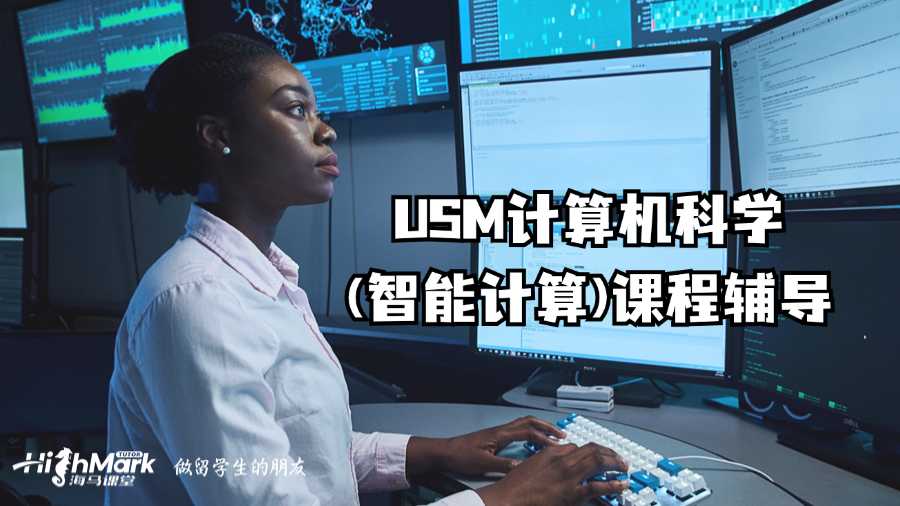 USM計(jì)算機(jī)科學(xué)(智能計(jì)算)課程輔導(dǎo)