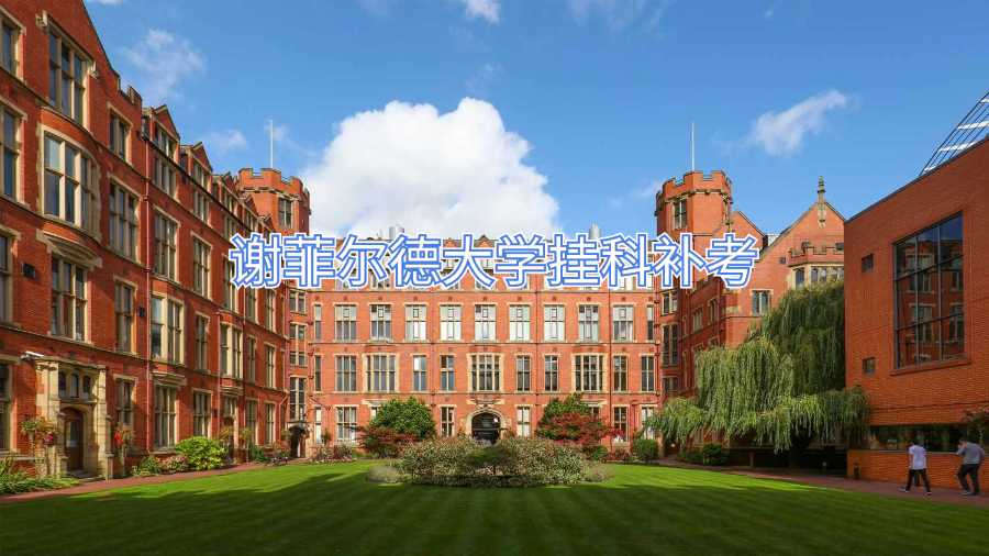 謝菲爾德大學掛科補考