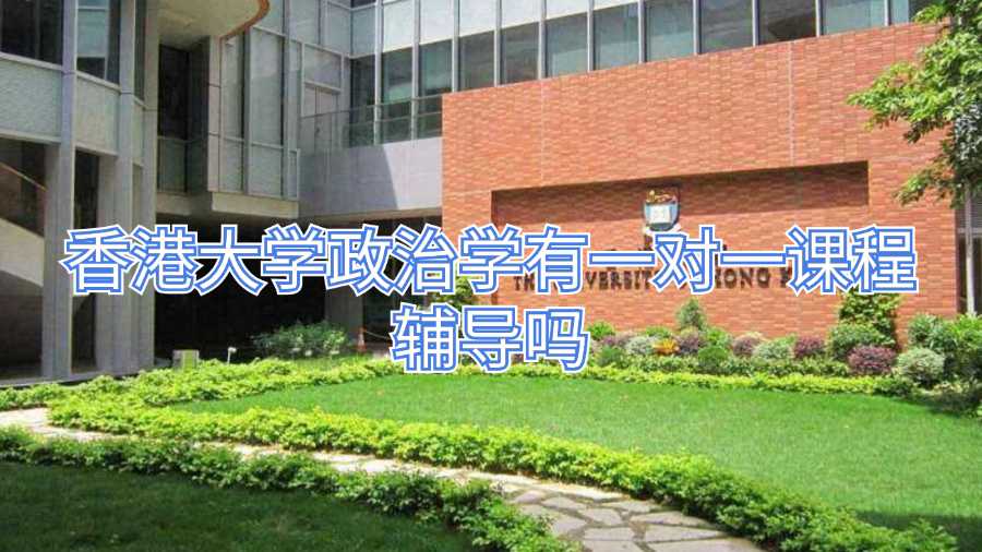 香港大學(xué)政治學(xué)有一對一課程輔導(dǎo)嗎