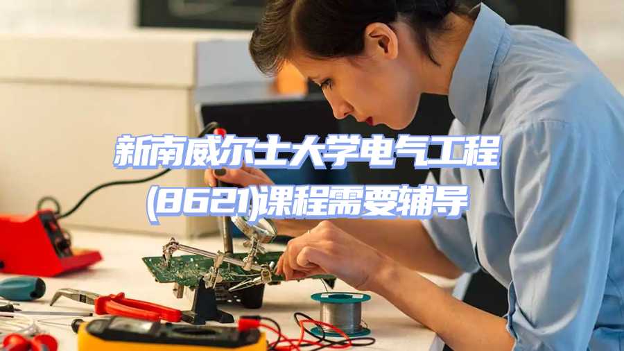 新南威爾士大學(xué)課程輔導(dǎo)