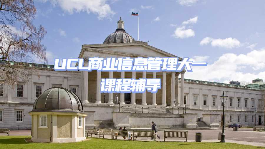 UCL商業(yè)信息管理大一課程輔導(dǎo)