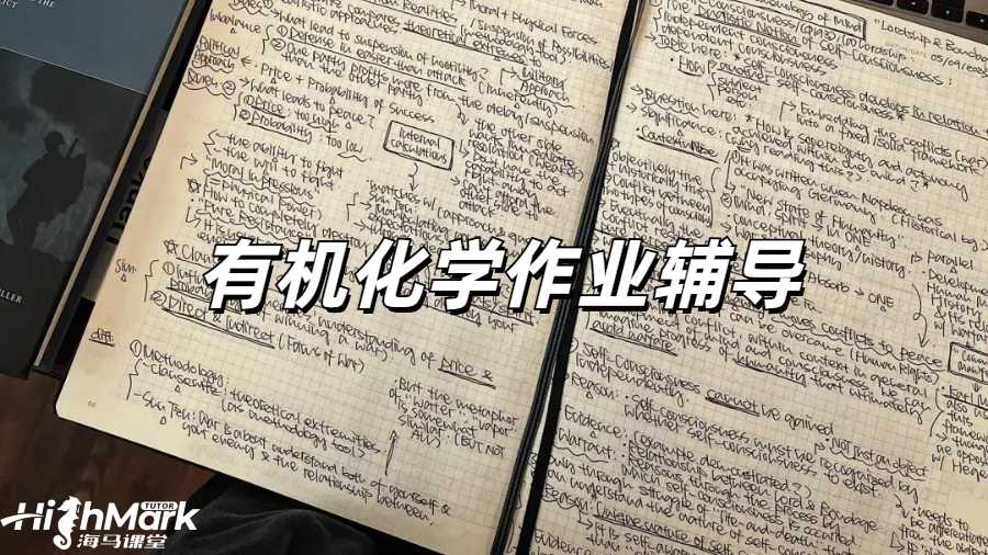 留學(xué)生作業(yè)輔導(dǎo)