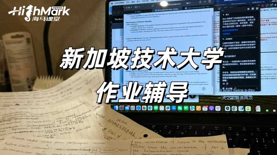 留學(xué)生作業(yè)輔導(dǎo)