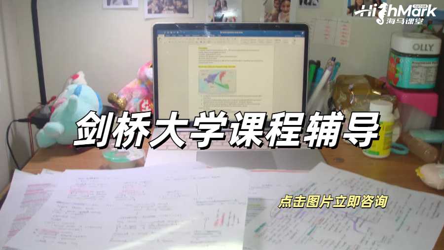 劍橋大學(xué)供應(yīng)鏈管理與財(cái)務(wù)相關(guān)的課程輔導(dǎo)