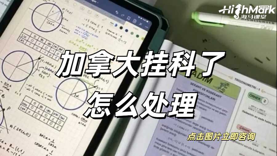 加拿大掛科了怎么處理