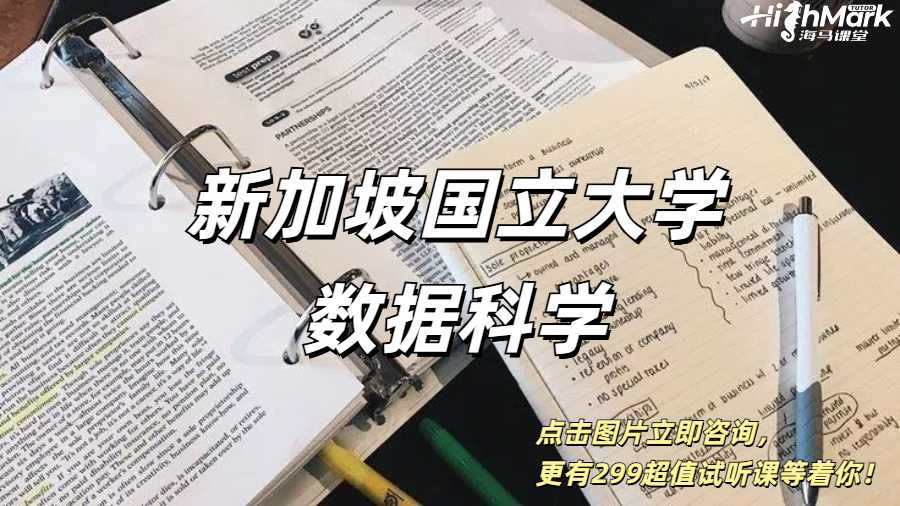 新加坡國立大學(xué)數(shù)據(jù)科學(xué)核心課程重難點輔導(dǎo)