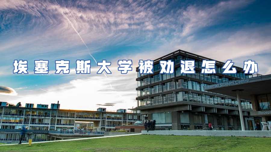 埃塞克斯大學被勸退怎么辦
