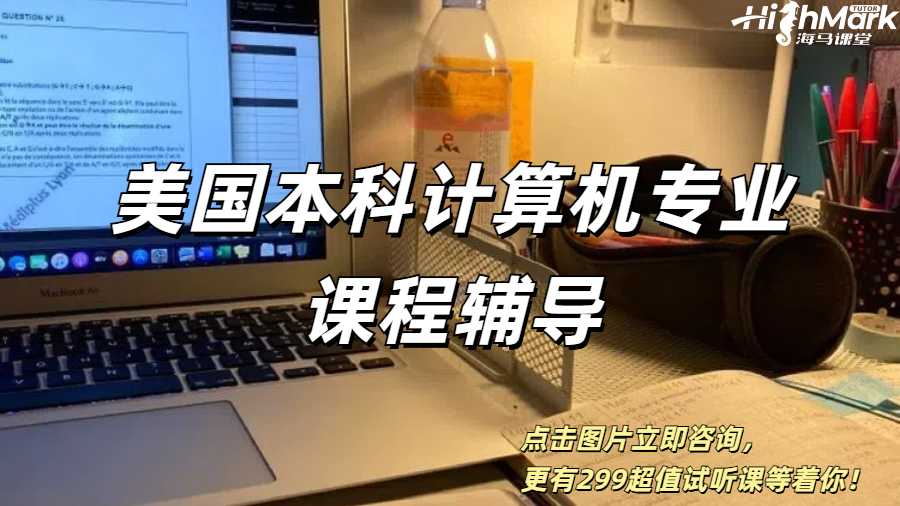 紐約大學(xué)本科計(jì)算機(jī)輔導(dǎo)