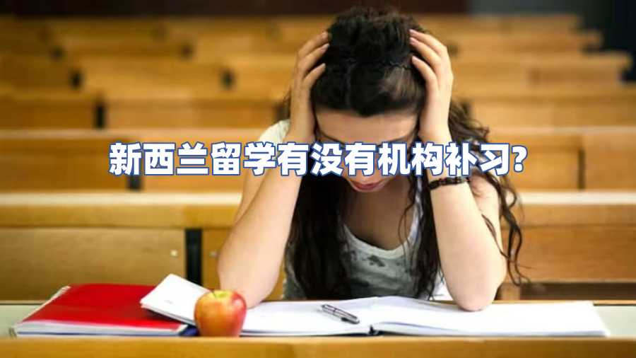 新西蘭留學(xué)有沒有機(jī)構(gòu)補(bǔ)習(xí)