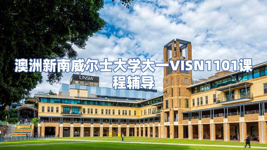 澳洲新南威爾士大學大一VISN1101課程輔導