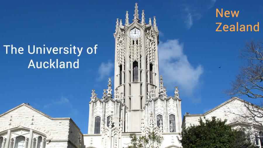 奧克蘭大學課程輔導
